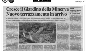 Cresce il giardino della Minerva Nuovo terrazzamento in arrivo